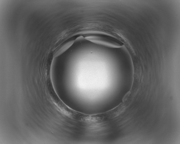 X0000082170261200701191315