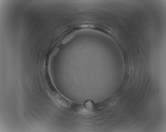 X0000082170263200701191315