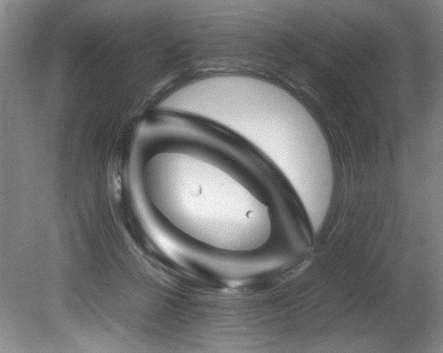 X0000082170264200701191315