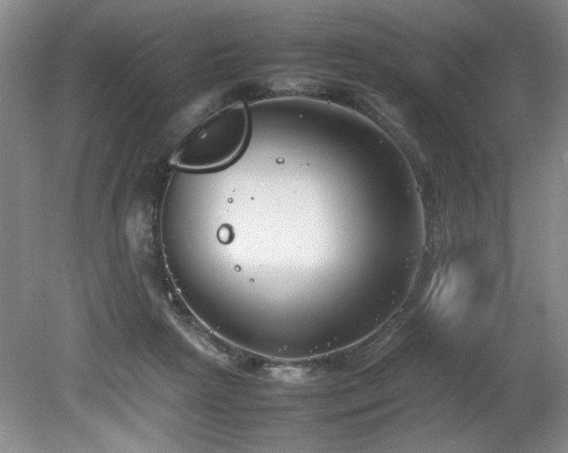 X0000082170265200701191315