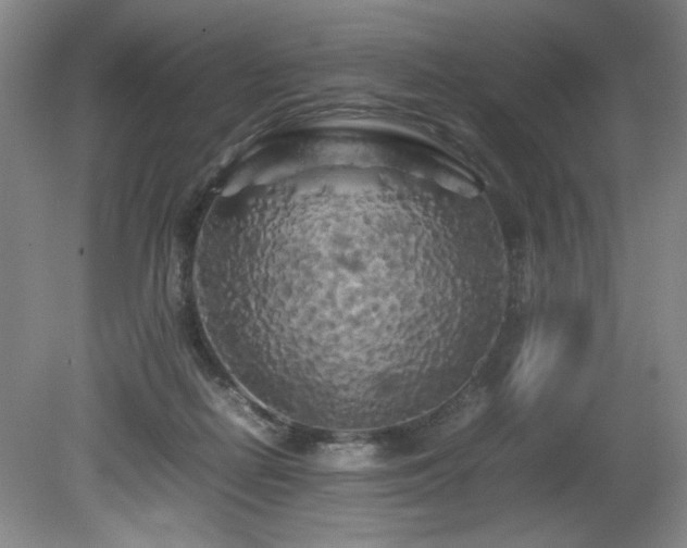 X0000082170266200701191315