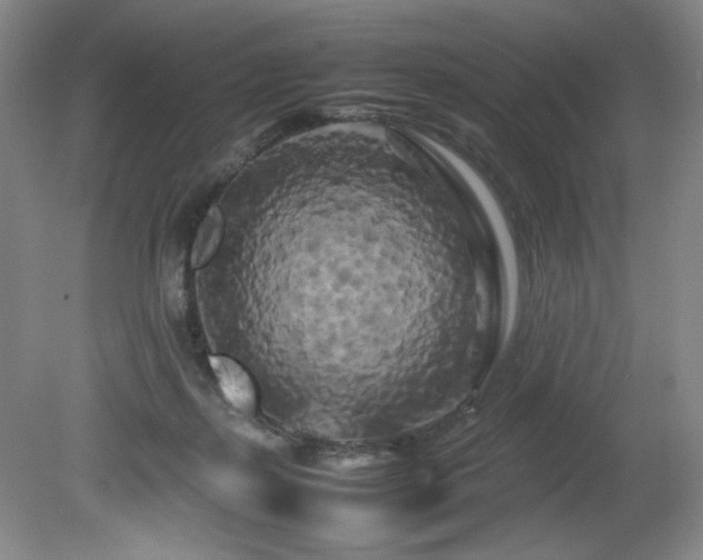 X0000082170267200701191315