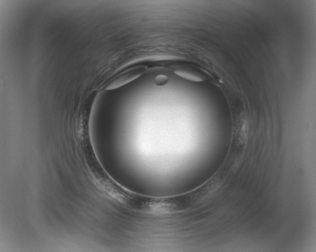 X0000082170268200701191315