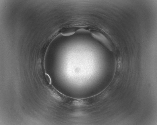 X0000082170269200701191315