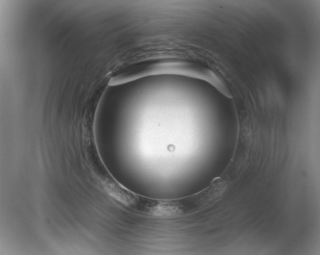 X0000082170270200701191315