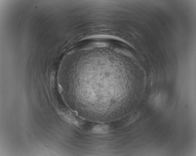 X0000082170271200701191315