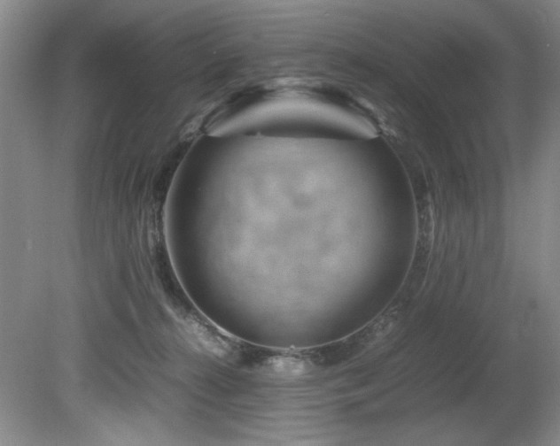 X0000082170272200701191315