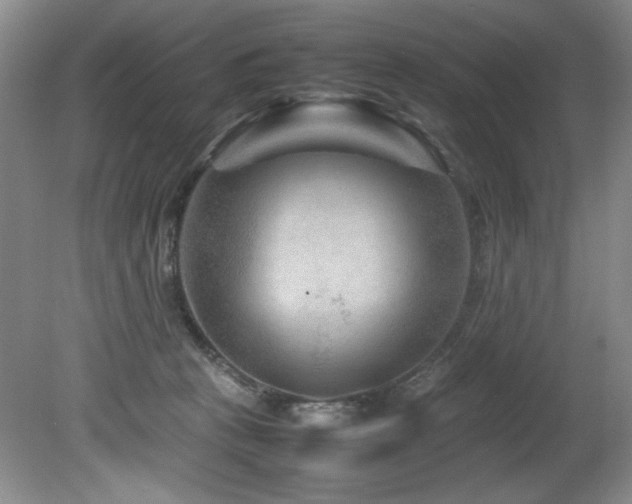 X0000082170273200701191315