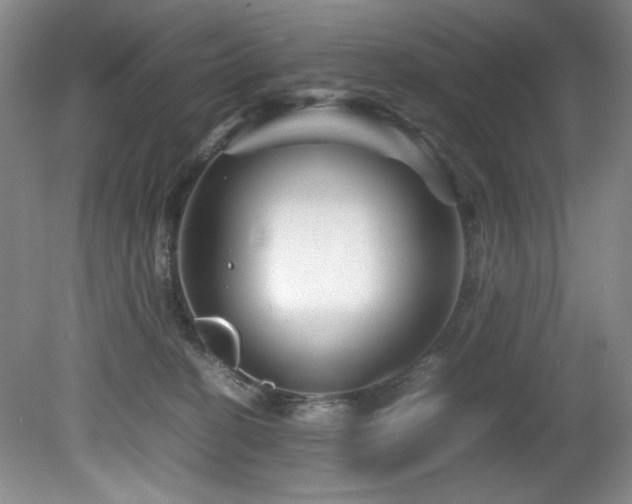 X0000082170274200701191315