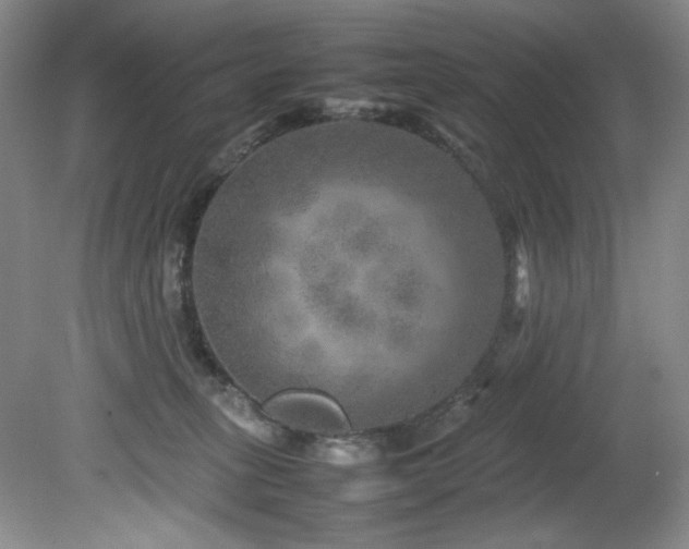 X0000082170275200701191315