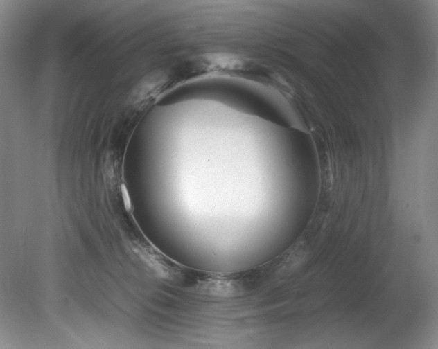 X0000082170276200701191315