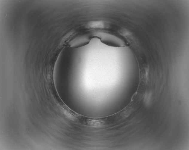 X0000082170277200701191315