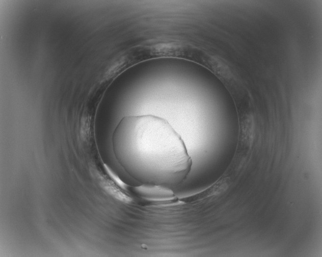 X0000082170278200701191315