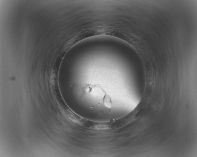 X0000082170279200701191315