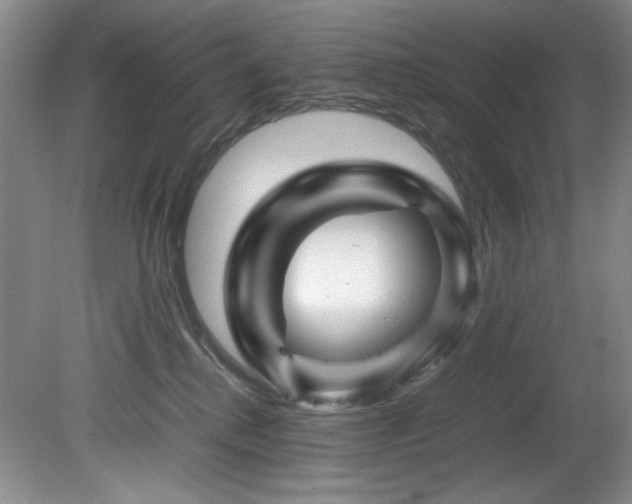 X0000082170280200701191315