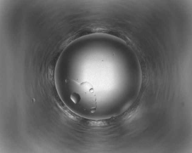 X0000082170281200701191315