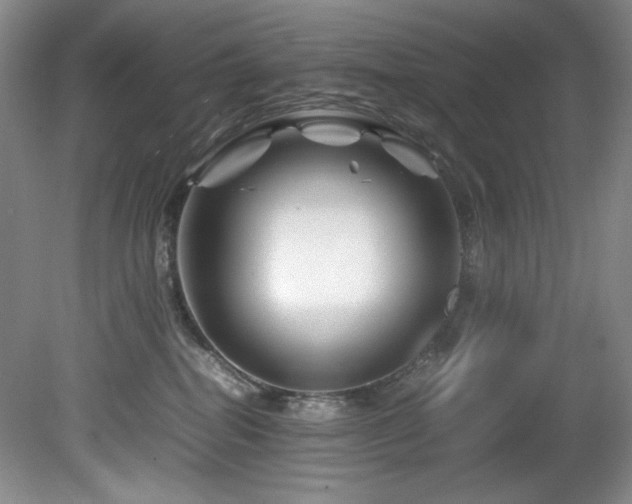 X0000082170282200701191315