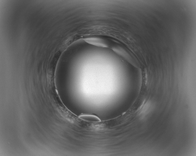 X0000082170283200701191315