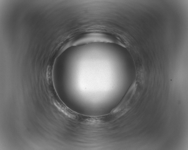 X0000082170284200701191315