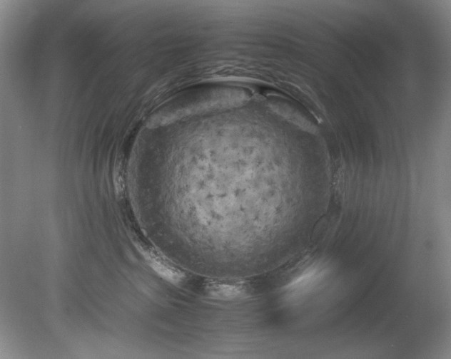 X0000082170285200701191315