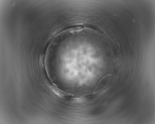 X0000082170286200701191315