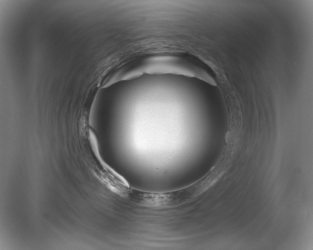 X0000082170288200701191315