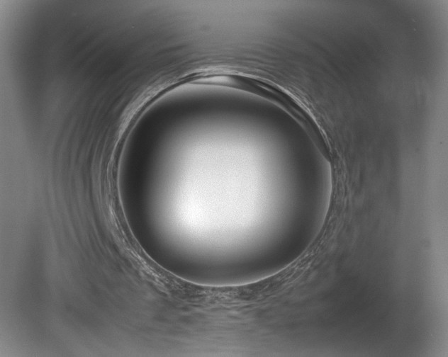 X0000082170289200701191314