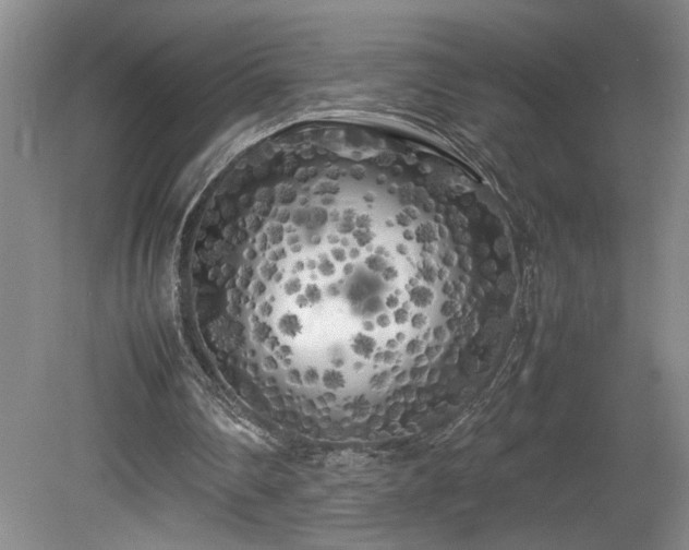 X0000082170290200701191314