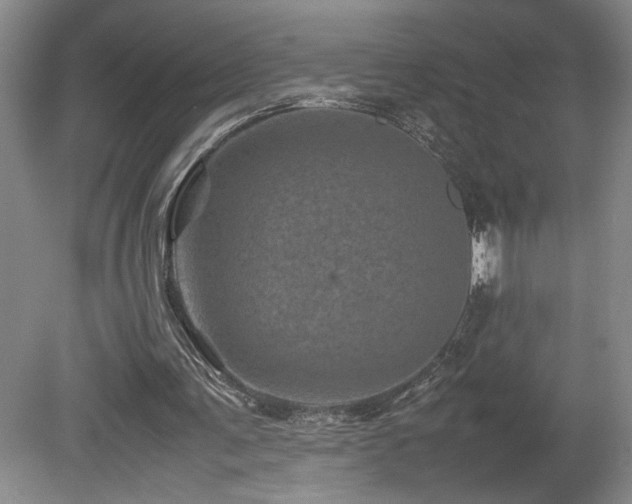 X0000082170291200701191314