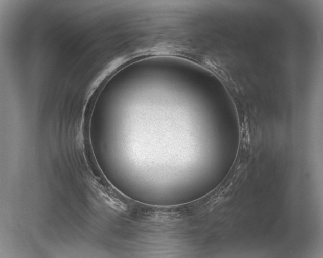 X0000082170292200701191314