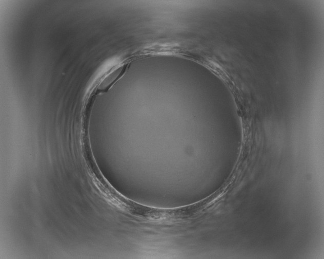 X0000082170293200701191314