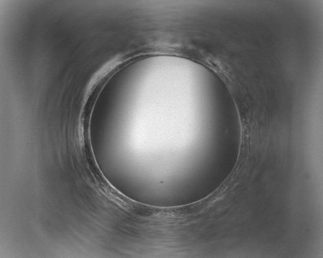 X0000082170294200701191314