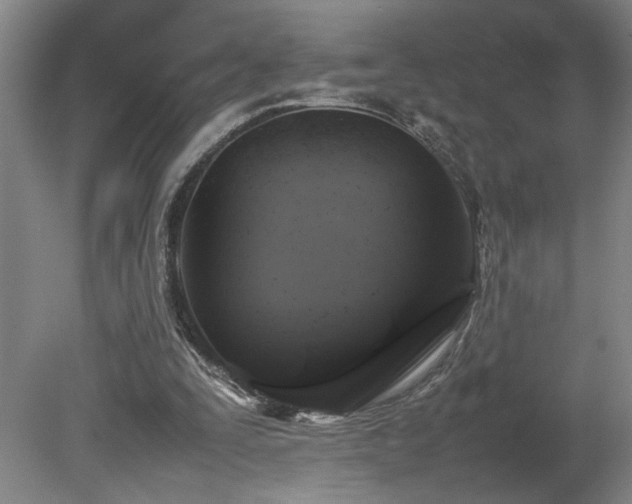 X0000082170295200701191314