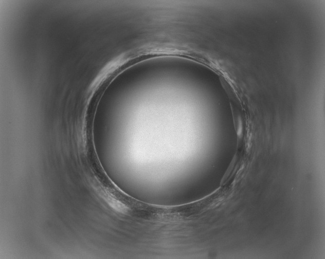 X0000082170296200701191314