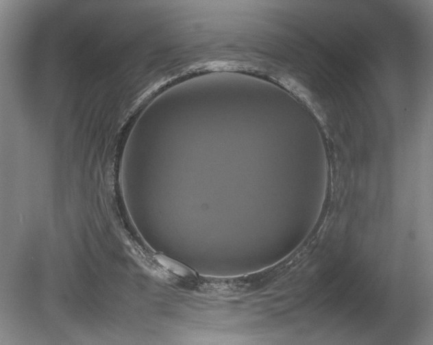 X0000082170297200701191314