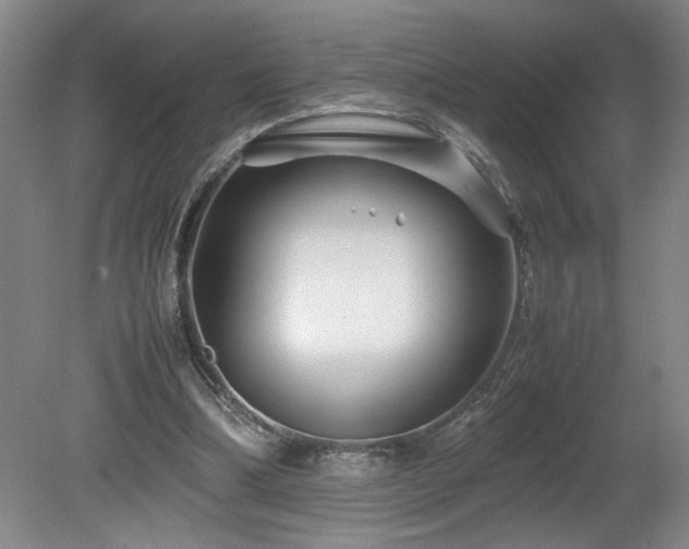 X0000082170298200701191314