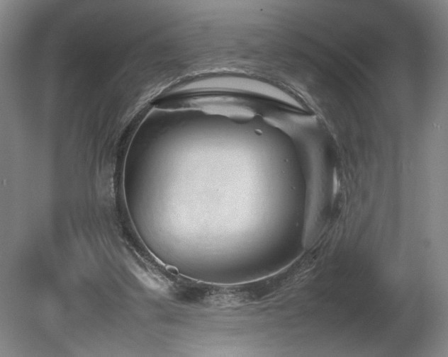 X0000082170299200701191314