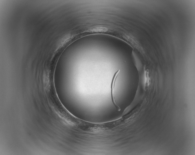 X0000082170300200701191314