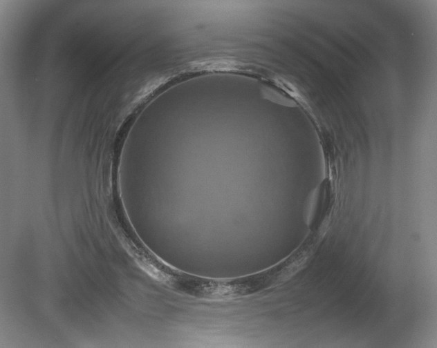 X0000082170301200701191314