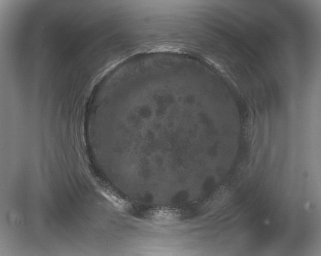 X0000082170303200701191314