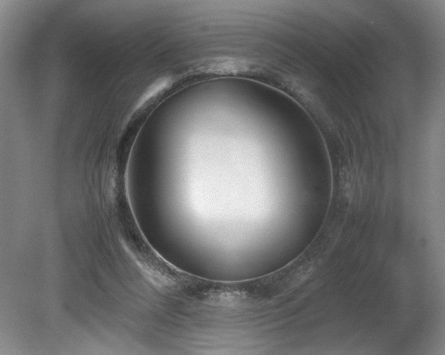 X0000082170304200701191314