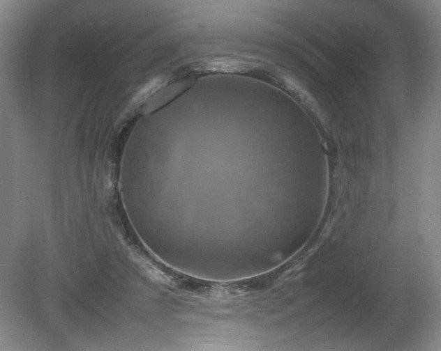 X0000082170305200701191314