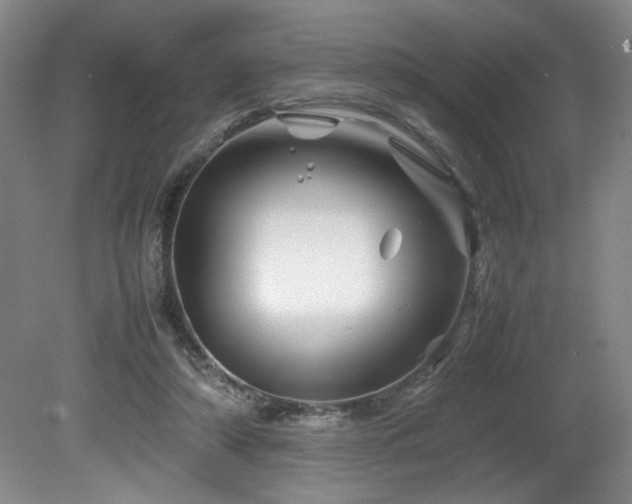 X0000082170306200701191314