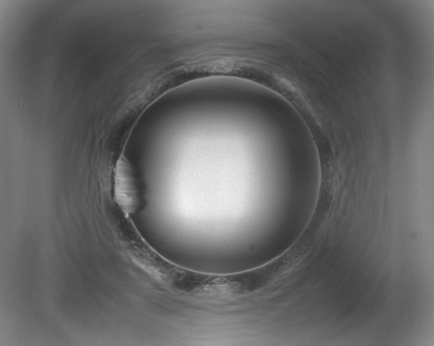 X0000082170307200701191314