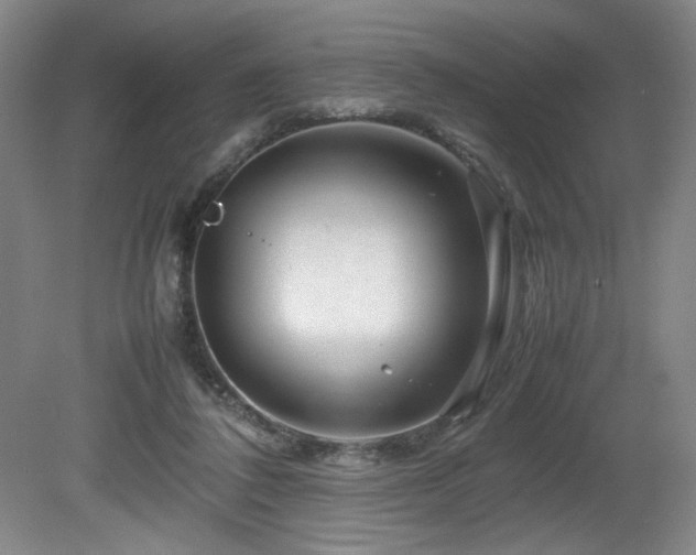 X0000082170308200701191314