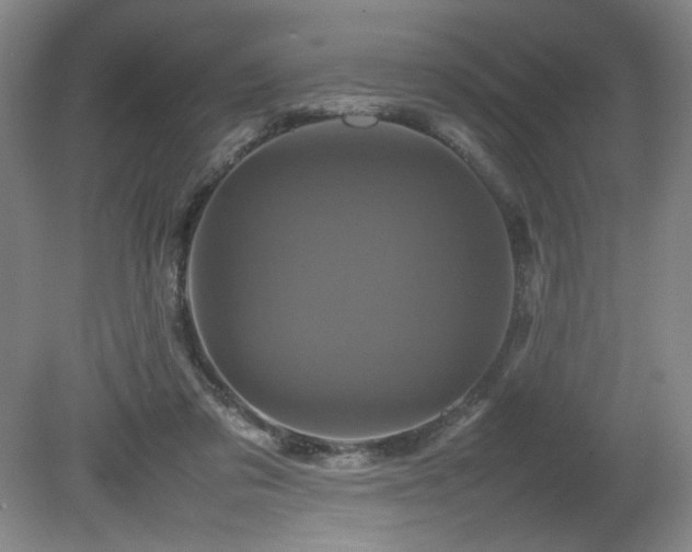 X0000082170309200701191314