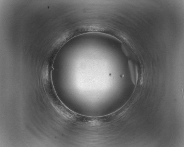 X0000082170310200701191314