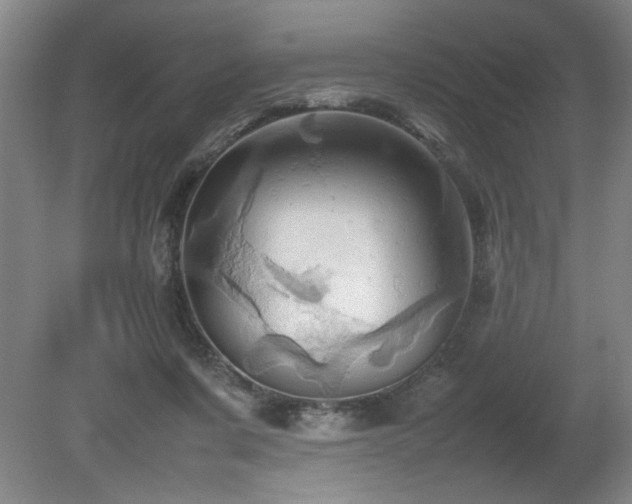 X0000082170311200701191314