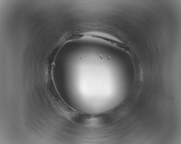 X0000082170312200701191314