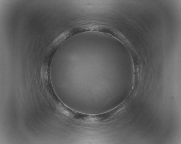 X0000082170313200701191314